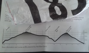 Black Combe race number and profile